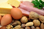 cells, protein rich foods, why protein is an important part of your healthy diet, Healthy fats