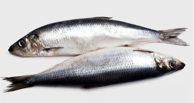 Oily fish a boon for women's health