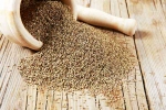 Carom Seeds good or bad, Ajwain latest, benefits of adding carom seeds to your diet, Useful