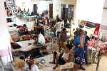 Dengue Outbreak updates, Dengue Outbreak updates, bangladesh dengue outbreak death toll crosses 1000, Kung