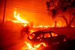 California, California, california declares wildfire emergency, Showbiz