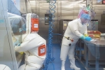 Covid-19, Andrew Huff breaking updates, covid 19 was a man made virus claims an american scientist, Infectious diseases