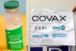 Covishield breaking news, Covishield and COVAX, sii to resume covishield supply to covax, Covax