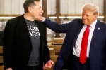Donald Trump latest updates, Donald Trump promise, donald trump s praise for musk s starlink, Usa elections 2024