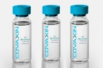 EUL for Covaxin news, EUL for Covaxin, who delays the eul decision on covaxin, Covax