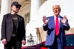 Elon Musk and Donald Trump latest, Elon Musk and Donald Trump discussion, elon musk asks donald trump to reverse china tariffs, Dog