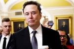 Elon Musk, Elon Musk vs Trump Supporters Indian immigrants, elon musk vs trump supporters over indian immigrants, Indian immigrants