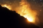 California Wildfire latest breaking, California Wildfire videos, fresh fire erupts in los angeles, Paris hilton