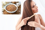 Flaxseeds hair benefits, Flaxseeds disadvantages, how flaxseeds can help for a long and healthy hair, Recipe