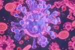 HMPV Virus case symptoms, HMPV Virus case small baby, first hmpv virus case detected in india s bengaluru, Karnataka