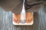 Jaggery Vs Honey breaking news, Jaggery, jaggery vs honey which is better for weightloss, Weightloss