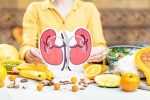 Kidneys Health medication, Kidneys Health research, how to keep your kidneys healthy, Grapes