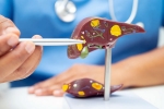 Liver Health updates, Liver Health updates, factors that worsens your liver health, Metabolism