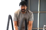 Chiranjeevi, Chiranjeevi gym, megastar chiranjeevi is back to work, Trisha krishnan