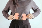 Kidneys Health breaking, Kidneys Health morning habits, morning habits to keep your kidneys healthy, Apples