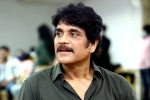 Nagarjuna periodic film, Nagarjuna upcoming film, nagarjuna in a periodic drama, Prasanna
