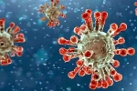 China Covid Row reports, India coronavirus, new china coronavirus variant traced in india, Omicron