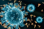 XEC Covid Variant in countries, XEC Covid Variant in countries, new xec covid variant detected in 27 countries, Mutation