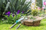 Snakes, Plants that attract Snakes experts, five plants that attract snakes at home, Snake