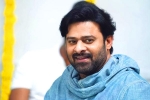 Prabhas new film, Prabhas next movie, prabhas jaan delayed further, Weightloss