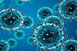 R.1 Coronavirus news, R.1 Coronavirus cases, r 1 variant of coronavirus traced in 35 countries, Coronavirus usa