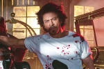 Shah Rukh Khan next film, Sujoy Ghosh, shah rukh khan to play a don in king, Gauri khan