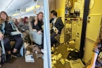 Singapore Airlines from London, Singapore Airlines breaking, one dead and 30 injured in singapore airlines turbulence horror, Singapore airlines turbulence