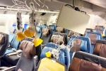 Singapore Airlines turbulence horror news, Singapore Airlines turbulence horror news, singapore airlines statement after turbulence horror, Singapore airlines turbulence
