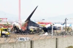 South Korea Plane Crash latest update, South Korea Plane Crash latest update, pilot made mayday call and mentioned bird strike in south korea plane crash, Runway