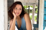 Triptii Dimri breaking news, Triptii Dimri Hollywood, triptii dimri is eager to sign hollywood films, Funny