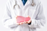 World Liver Day 2025, World Liver Day 2025 tips, world liver day 2025 is your liver overloaded, Avert