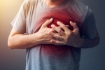 heart attack, difference between heart attack and heart failure, difference between a heart attack and cardiac arrest, Heart muscle