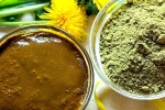 Henna new updates, Henna conditioner, how henna helps for hair growth and health, Hair dye